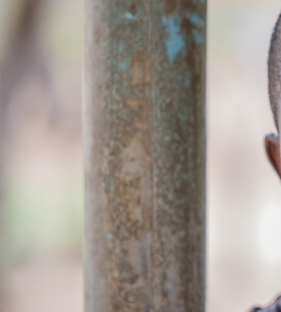 Educare la prossima generazione di bambini in Zambia 