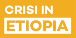 Crisi in Etiopia_Logo