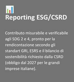 l.p. azienda Reporting ESGCSRD (1)